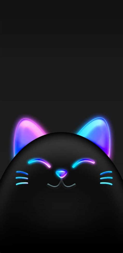 Neon Cat Wallpapers - Top Free Neon Cat Backgrounds - WallpaperAccess