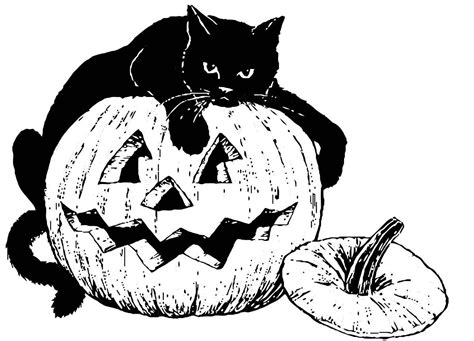 Halloween Black Cat Drawing at GetDrawings | Free download