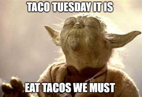 31 Funniest Taco Tuesday Meme - Meme Central