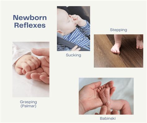 6 Fascinating Newborn Reflexes that May Surprise You