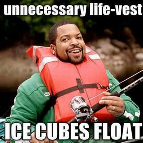 Ice cubes float | Science memes, Nerd humor, Funny memes