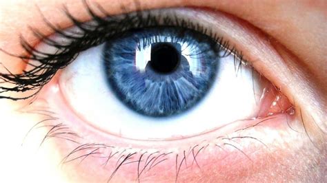 50 Astonishing Facts About Blue-Eyed Individuals - 2024