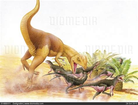 STOCK IMAGE - Palaeozoology - Jurassic period - Dinosaurs ...