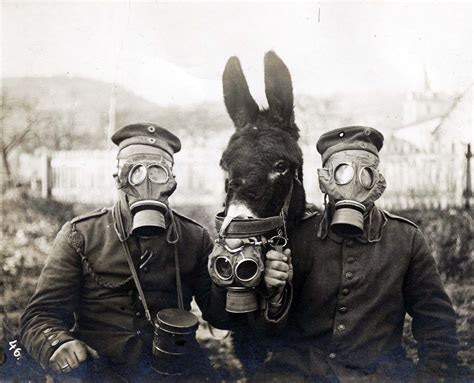 Two German soldiers and their mule wearing gas masks, 1916 - Rare Historical Photos