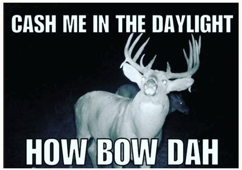 Deer Hunting Memes, Hunting Quotes Funny, Hunting Stuff, Funny Quotes, Hunting Room, Coyote ...