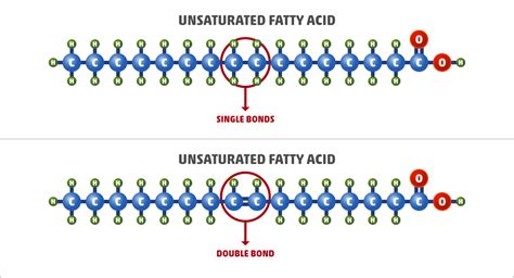 Unsaturated Fat: What it is & Examples [Comprehensive Guide]