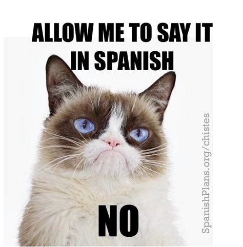 Pin on I Love Grumpy Cat | Spanish teacher memes, Funny spanish memes ...