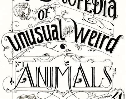 The Encyclopedia of Unusual & Weird Animals on Behance
