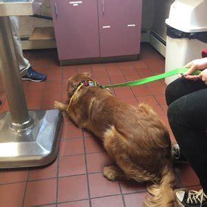 WINTERSET VETERINARY HOSPITAL - Updated December 2024 - 791 Manor Dr, Ebensburg, Pennsylvania ...