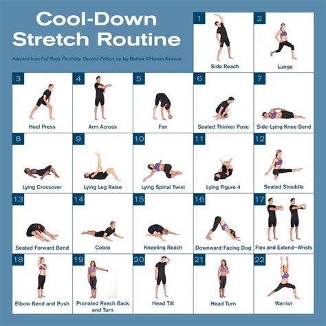 Cool-down stretch routine in 2021 | Stretch routine, Cool down stretches, Post workout stretches