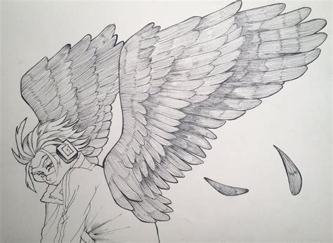 Hawk Wings Drawing at PaintingValley.com | Explore collection of Hawk ...