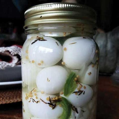 Spicy Fermented Eggs Recipe | Pickled quail eggs, Quail eggs, Fermented eggs