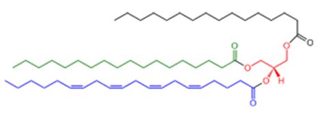 A note on Lipidomics Research with definition, introduction, challenges, current trends, usage ...