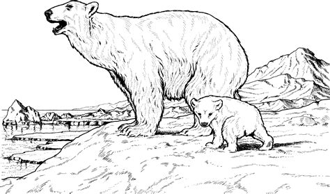 Free Printable Polar Bear Coloring Pages For Kids