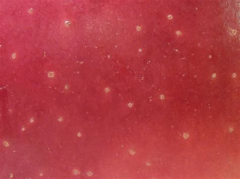 Red,apple,fruit,skin,texture - free image from needpix.com