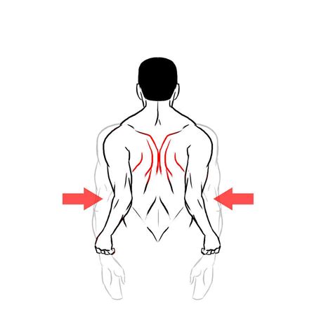 How Do I Improve My Posture | PT-Helper