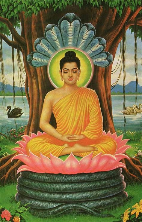 Buddha Purnima 2023: Date, wishes, images, quotes, Significance and ...