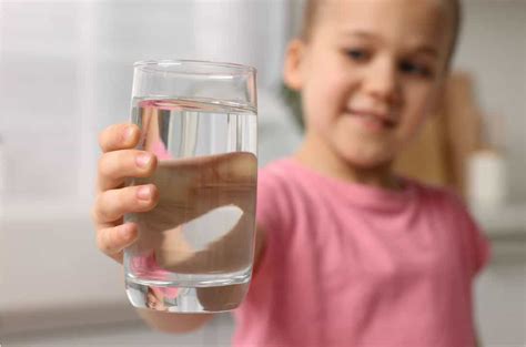 8 Most Common Types of Whole House Water Filters - Kind Water Systems
