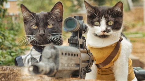 Military Trained Cats Save a Fellow Feline From a Horde of Hungry Zombies Using Weapons and ...