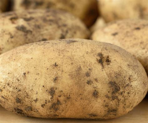 Best potato varieties: 12 top crops for your vegetable patch | Homes ...