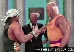 Megapowers Hulkhogan GIF - Megapowers Hulkhogan Machoman - Discover ...