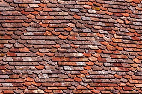 Roof Tiles Free Stock Photo - Public Domain Pictures