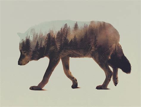 Double Exposure Animal Portraits by Andreas Lie | Colossal