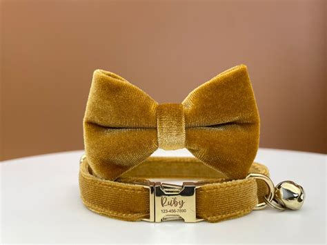 Personalized Velvet Cat Collar Leash Set, Engraved Kitties Collar Leash, Engraved Gold Cat ...