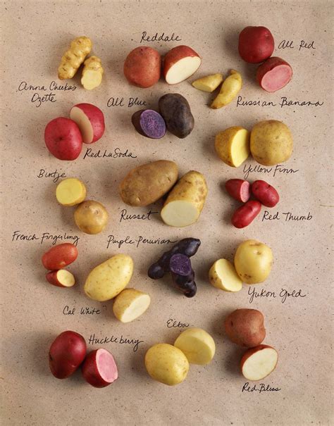 The humble tatie got to love them. | Potato varieties, Food, Food facts