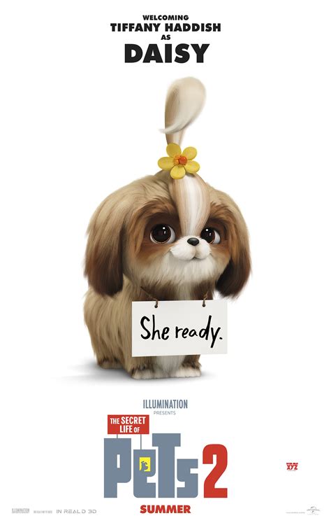 The Secret Life Of Pets 2 Movie New HD Posters - Social News XYZ