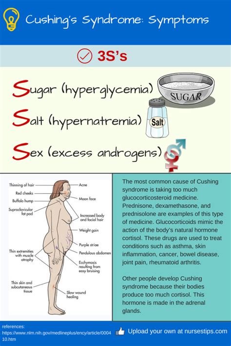 Pin on Mnemonics