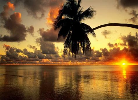 Beautiful Wallpapers: Amazing sunset Fb covers