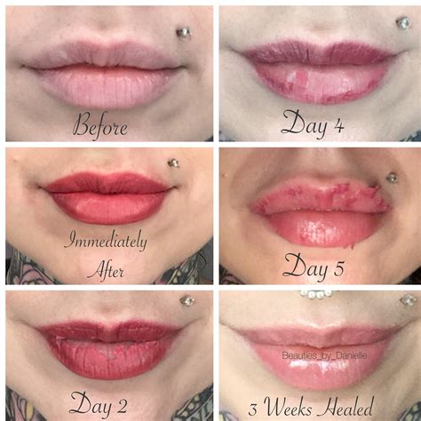 Share more than 62 full lip tattoo healing process best - in.cdgdbentre