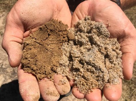 Soil Textures | SoilSensor.com