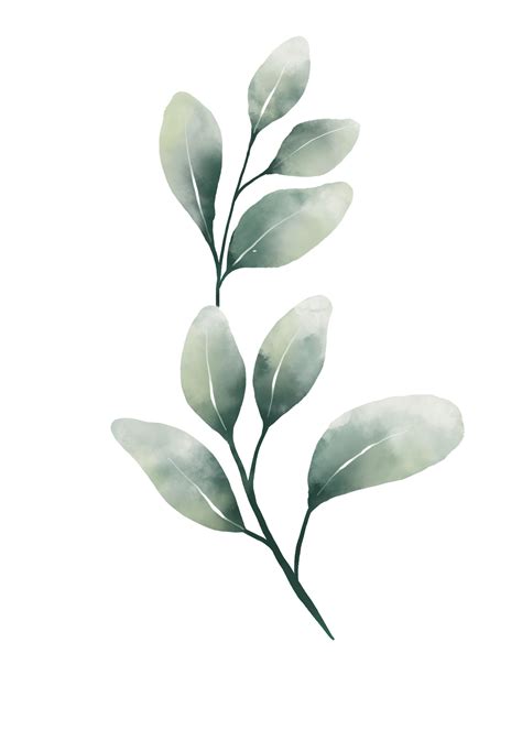 Branch Watercolor PNGs for Free Download