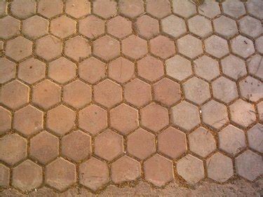 Pet Urine Odor Remover Tile Floors – Flooring Ideas