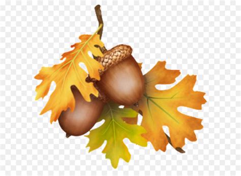 autumn oak leaf clipart 10 free Cliparts | Download images on ...