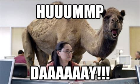 Love this commercial | Funny commercials, Hump day camel, Hilarious