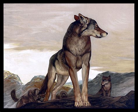 Wolf Vintage Art Painting Free Stock Photo - Public Domain Pictures