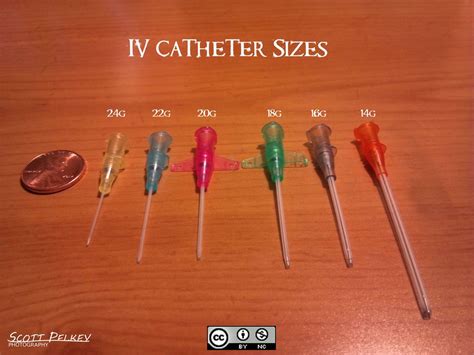 catheter taille – catheter veineux peripherique – Swhshish