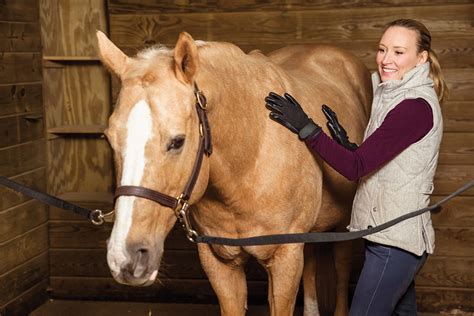 Hoofpick | Horse Grooming Tips