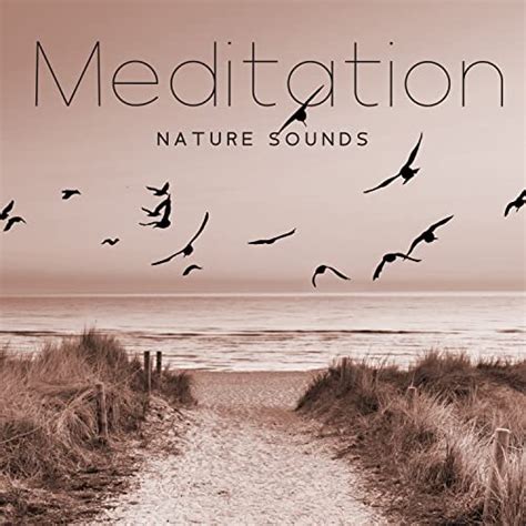 Meditation Nature Sounds: Rain Sounds, Storm, River, Forest & Birds, Sea Waves, Waterfall by ...