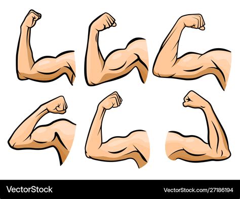 Cartoon hand muscle strong arm boxer arms Vector Image