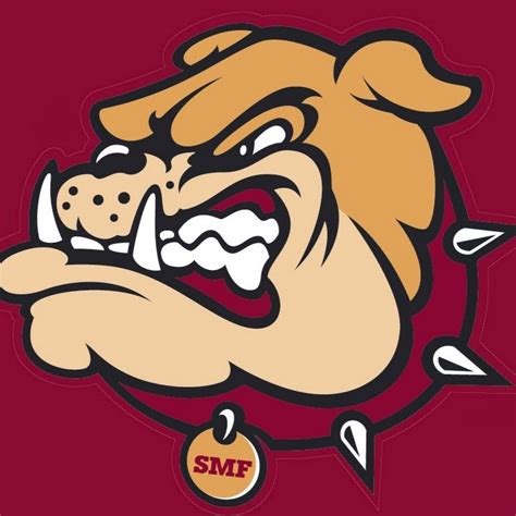 Stow High School Bulldogs News - YouTube