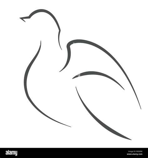 Dove bird outline. Vector symbol illustration Stock Vector Image & Art - Alamy