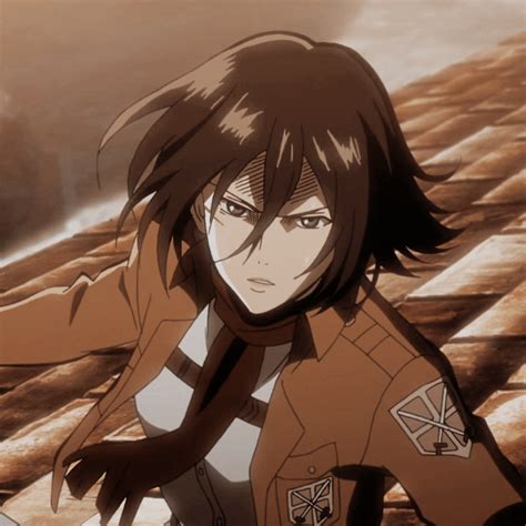 Mikasa.pfp