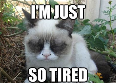 40 Truthful Memes About Being Tired | Inspirationfeed