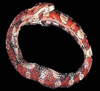 สัตว์ลึกลับ: Hoop Snake (ฮูปสเนค)