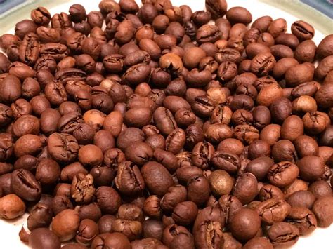 Roasted Robusta Beans - Pure Kopi Luwak