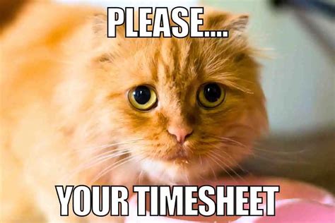 25 Funny Timesheet Memes And Reminders For The Forgetful